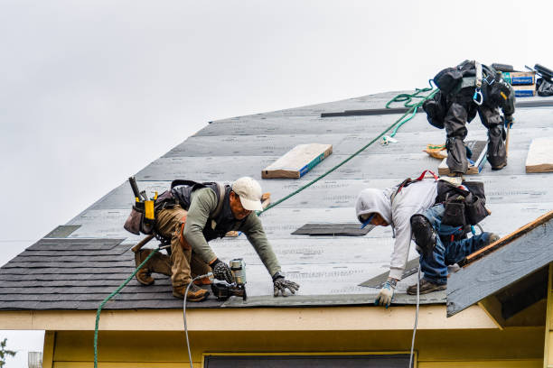 Professional Gutter Installation technician working in Hacksneck, VA